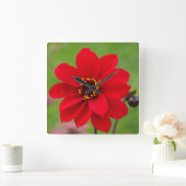 Horloge Carrée Bishop de Llandaff Dahlia (Maison)