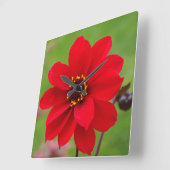 Horloge Carrée Bishop de Llandaff Dahlia (Angle)