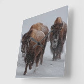 Horloge Carrée Bison de Yellowstone (Angle)