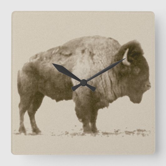 Horloge Carrée Bison des plaines (Recto)