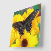 Horloge Carrée Black Swallowtail (Angle)