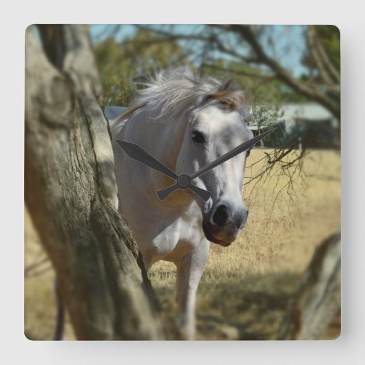 Horloge Carrée "Blanche Neige : Le Steed Majestic" (Recto)