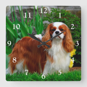 Horloge Carrée Blenheim Cavalier le roi Charles Spaniel