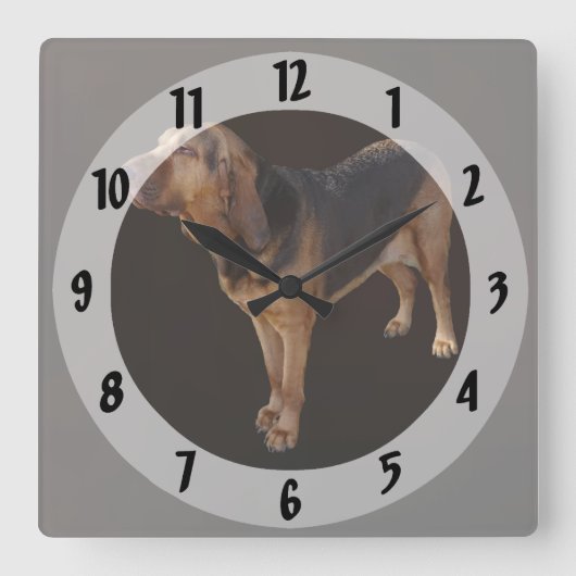 Horloge Carrée Bloodhound (Recto)