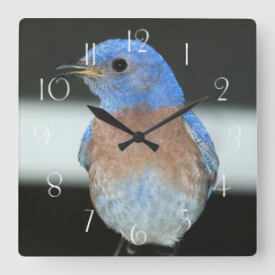 Horloge Carrée Bluebird