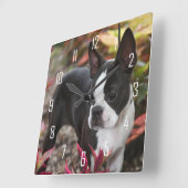 Horloge Carrée BoSTON TERRiER (Angle)