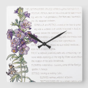 Horloge Carrée Botanical Jacobs Ladder Family Flowers Wall Clock