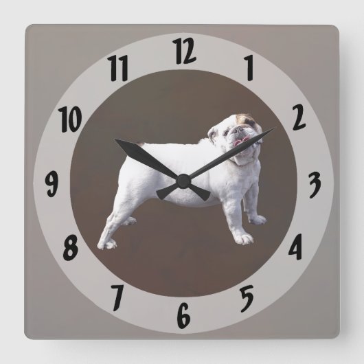 Horloge Carrée Bouledogue Fier (Recto)