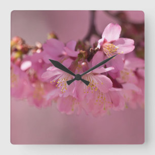 Horloge Carrée Bouquet délicat de fleurs de cerisier Sakura rose