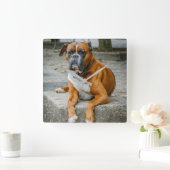 Horloge Carrée Boxer / Photo Dog Wall Clock (Maison)