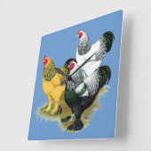 Horloge Carrée Brahmas Three Roosters (Angle)