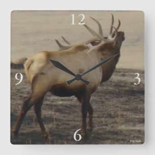 Horloge Carrée Brames de l'élan mâle E39