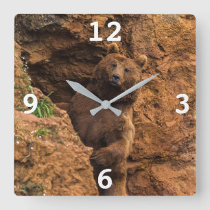 Horloge Carrée Brown Bear Square Wall Clock