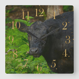 Horloge Carrée Brown Eyes - Steer and Forest Large Clock