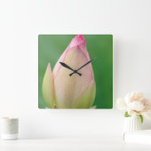 Horloge Carrée Bulbe Lily de l'eau non ouverte, Durban Botanique (Maison)