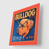 Horloge Carrée Bull Dog sur un Arrière - plan bleu (Angle)