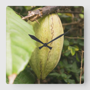 Horloge Carrée cabosse de cacao