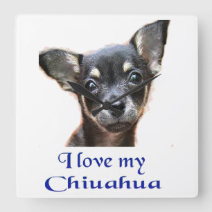 Horloge Carrée Cadeaux Chihuahua