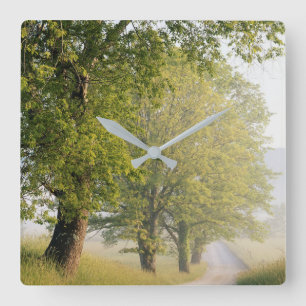Horloge Carrée Cades Cove Great Smokey Mountains, TN