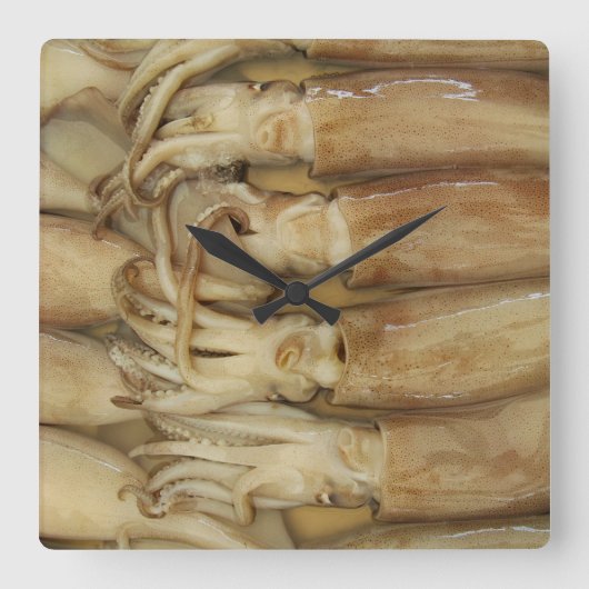 Horloge Carrée Calamari (Recto)