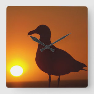 Horloge Carrée Calme de l'esprit_Mur