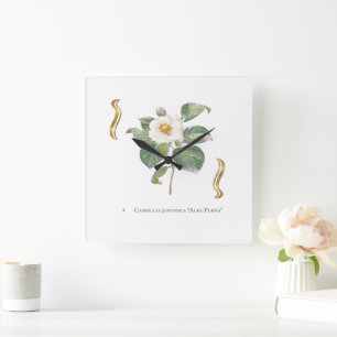 Horloge Carrée Camellia japonica 'Alba Plena'