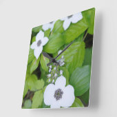 Horloge Carrée Canada, Colombie-Britannique. Dwarf Dogwood (Angle)