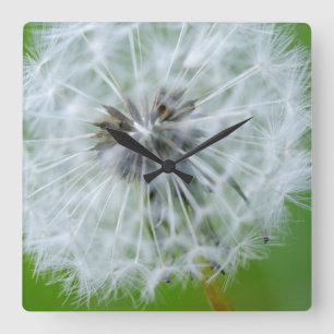 Horloge Carrée Canada, Colombie-Britannique, île de Vancouver 4