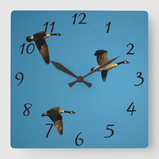 Horloge Carrée Canadian geese (Recto)