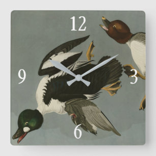 Horloge Carrée Canard doré - photo d'Audubon's Birds of America