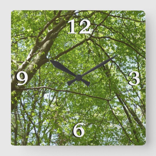Horloge Carrée Canopée du printemps Feuille Green Nature Scene (Recto)