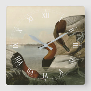 Horloge Carrée Canvas Duck d'Audubon's Birds of America