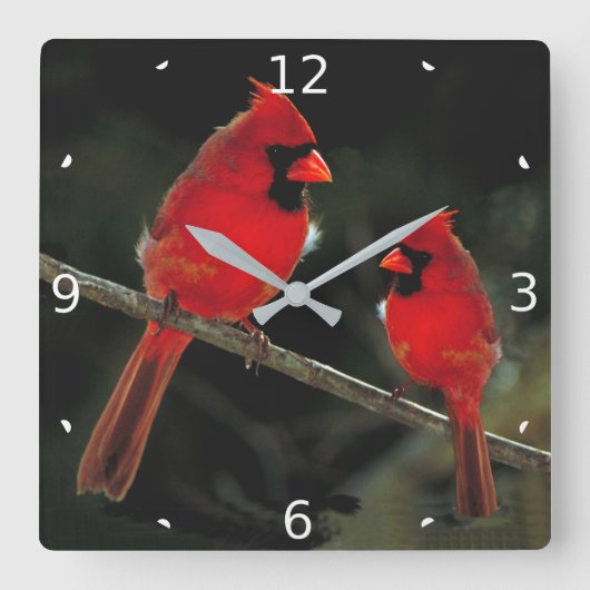 HORLOGE CARRÉE CARDINAL (Recto)