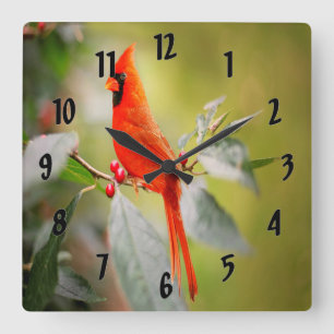 Horloge Carrée Cardinal Bright