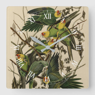 Horloge Carrée Carolina Parrot de Audubon's Birds of America
