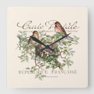Horloge Carrée Carte de nid d'oiseaux Postale Français Vintage
