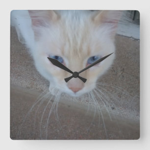 Horloge Carrée Cat Clock