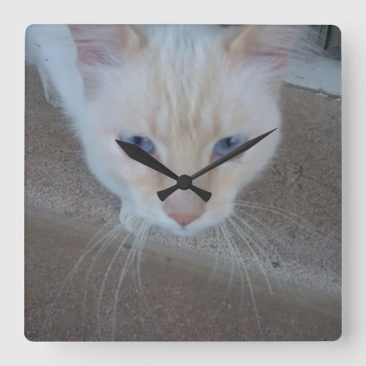 Horloge Carrée Cat Clock (Recto)