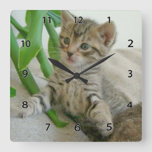 Horloge Carrée Cat Wall Clock (Recto)