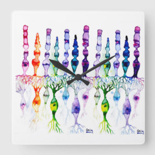 Horloge Carrée Cellules cônes cellules tiges et neurone bipolaire