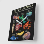 Horloge Carrée Céphalopodes poulpes calamars (Angle)