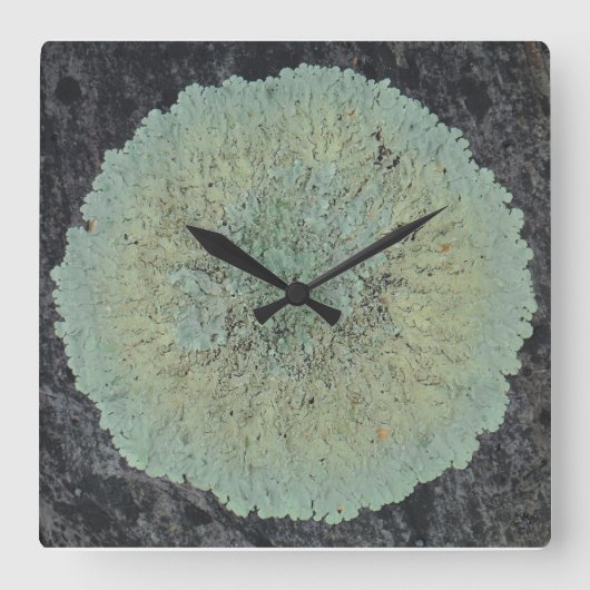 Horloge Carrée Cercle Lichen Mossy (Recto)