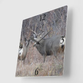 Horloge Carrée Cerf mulet D29 (Angle)