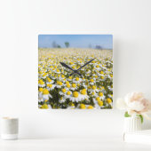 Horloge Carrée Chamomile Field (Maison)