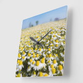 Horloge Carrée Chamomile Field (Angle)