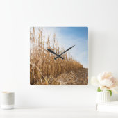 Horloge Carrée Champ de maïs en partie moissonné (Maison)