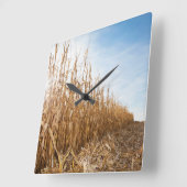 Horloge Carrée Champ de maïs en partie moissonné (Angle)