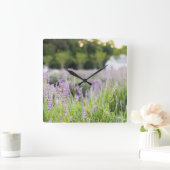 Horloge Carrée Champ Lavande Tranquille (Maison)