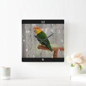 Horloge Carrée Chanter blanc Bellied Caique Parrot (Maison)