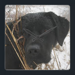 Horloge Carrée Chasse de fin de saison - Black Lab - Labrador<br><div class="desc">Un beau Black Labrador Retriever qui profite d'une journée d'hiver dans les champs enneigés. Chasse de fin de saison - Oeuvre originale de Judy Burrows @ Black Dog Art</div>